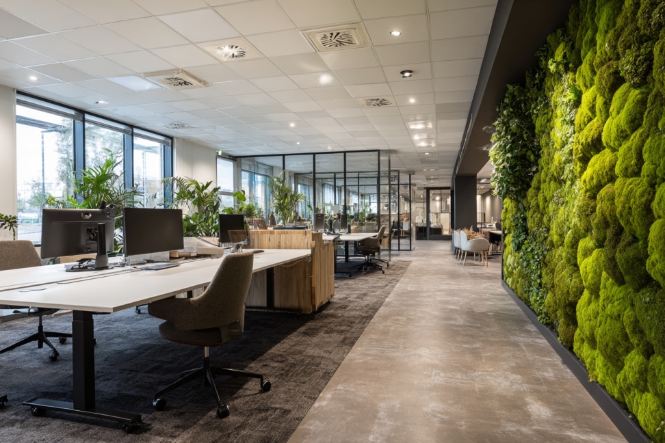Duurzame kantoorinrichting met systeemplafond en groene moswand