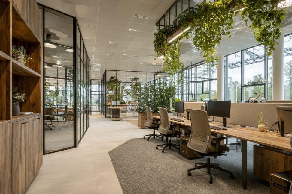 Moderne kantoorinrichting op maat met systeemplafond, glazen wanden en veel groen
